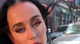 Katy Perry shows off jaw-dropping figure in American flag bikini