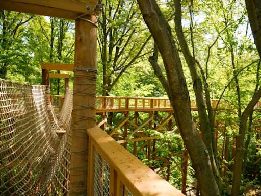 Treetop canopy overlooking greenery and wildlife to open at central Ohio park
