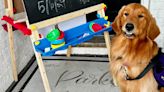 The Linda Nolen learning center’s facility dog meets students during first day