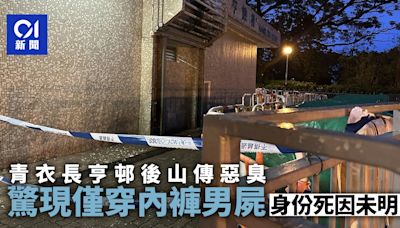 青衣長亨邨後山傳惡臭 驚現僅穿內褲男屍 身份及死因未明