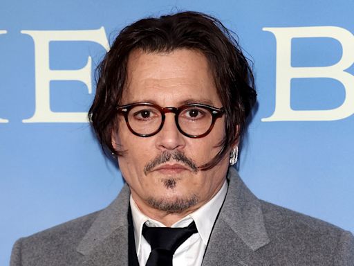 Johnny Depp Plays Gibberish-Speaking Puffin in Next Film