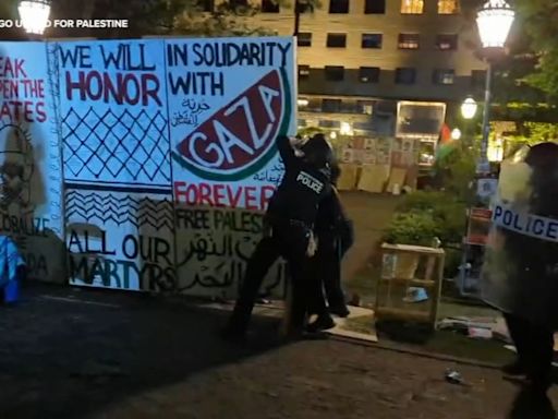CPD was on standby when University of Chicago police shut down pro-Palestinian encampment: Snelling