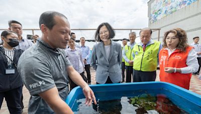 蔡英文赴澎湖親種珊瑚 盼國人重視海洋保育