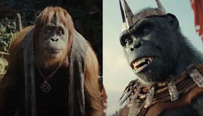 Kingdom Of The Planet Of The Apes Producers Know...Special Pasts Of Proximus Caesar And Raka, And I...