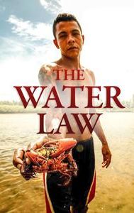 The Water Law