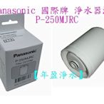 【年盈淨水百貨】Panasonic 國際牌 淨水器濾心 P-250MJRC 適用 PJ-250MR【保證原廠公司貨】