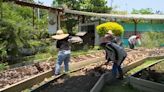 Granjas comunitarias: cómo Tlajomulco está combatiendo la delincuencia con la agricultura