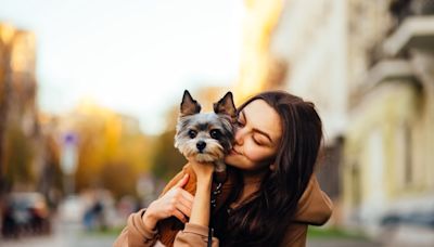 300+ Unique Girl Dog Names for Creative Pet Parents