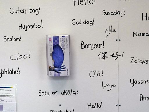 Could AI save Europe's rare and endangered languages from extinction?