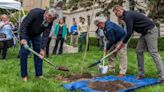 Indiana DNR meets Holcomb goal of planting 1 million new trees