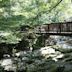 Tollymore Forest Park