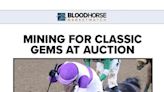 BloodHorse MarketWatch: Classic Contenders at Auction