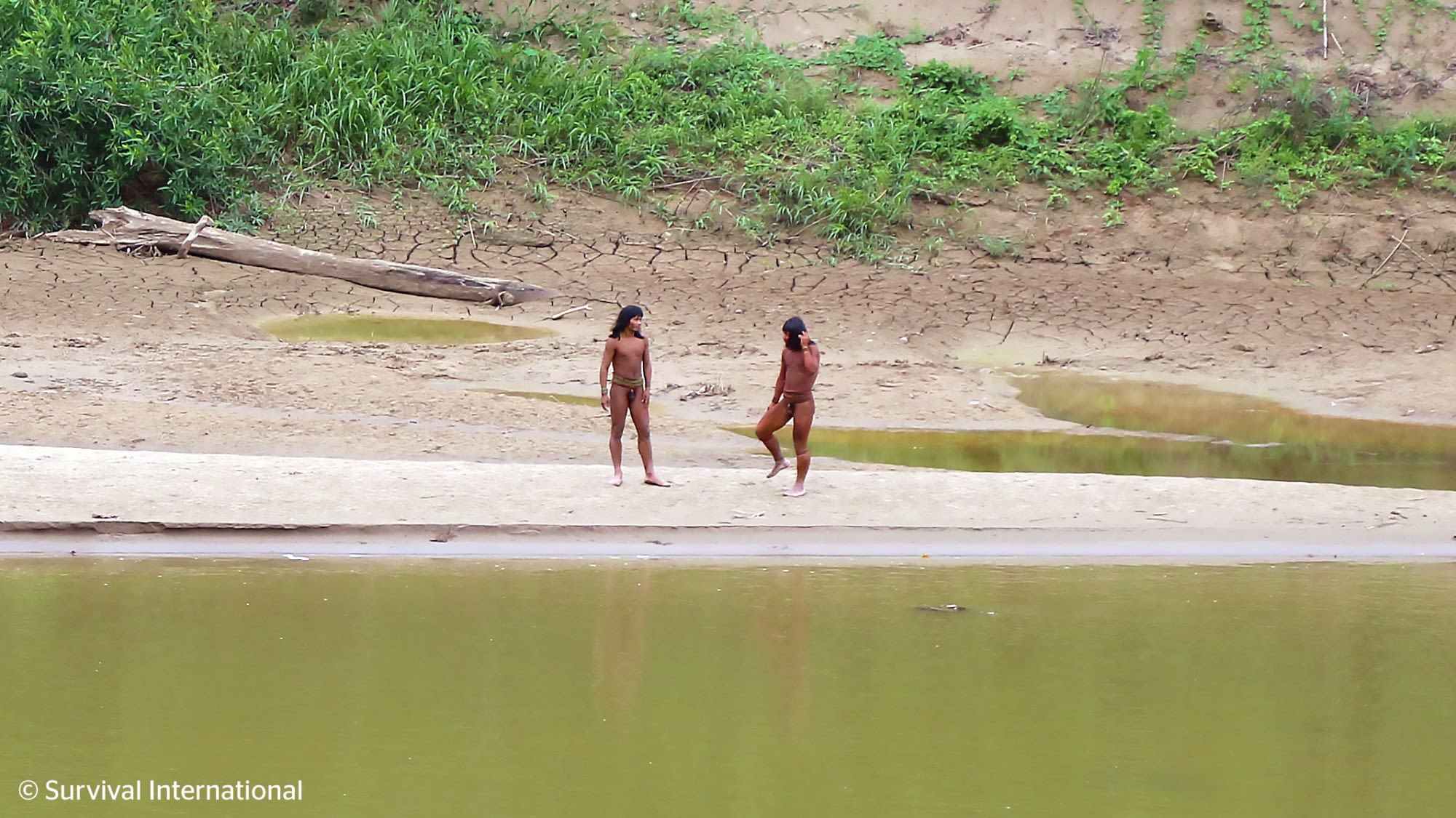 2 Loggers Killed in Arrow Attack by ‘Isolated’ Amazon Tribe