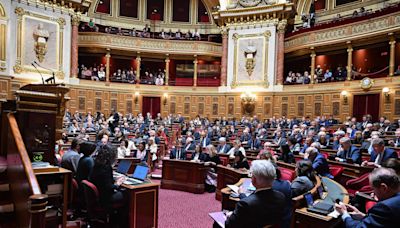 Loi sur les ingérences étrangères : le Sénat adopte les conclusions de la commission mixte paritaire