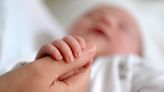 Babies’ antibody response to jabs linked to mode of delivery – study