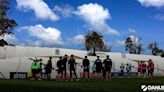 Increíble pero real amor por una planta: la palmera que llora el fútbol uruguayo