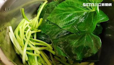 保護眼睛妳會吃什麼？「這款」蔬菜含高單位葉黃素，可防黃斑部病變！