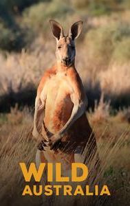 Wild Australia