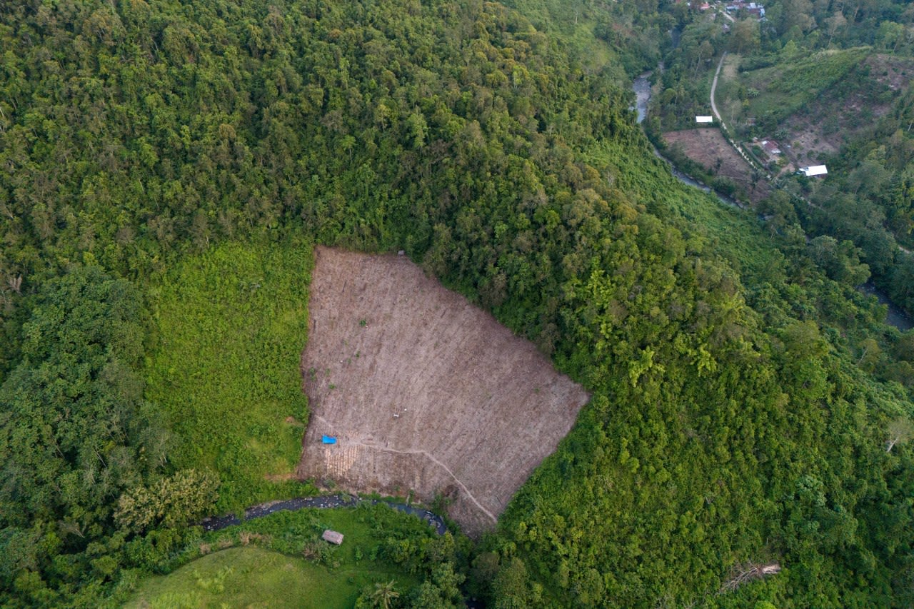 A study finds Indonesia’s deforested land is often left idle. But some see potential in that