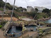 Living Coasts