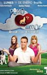 Perro amor (American TV series)