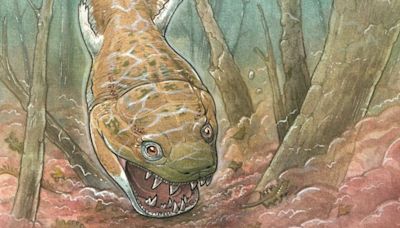 'Monstro' do pântano mais antigo que os dinossauros é descoberto na Namíbia