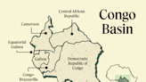 Congo Basin poses the highest risk for Africa's next coup