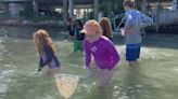 Suncoast kids become scientists at Mote Aquarium Day Camp