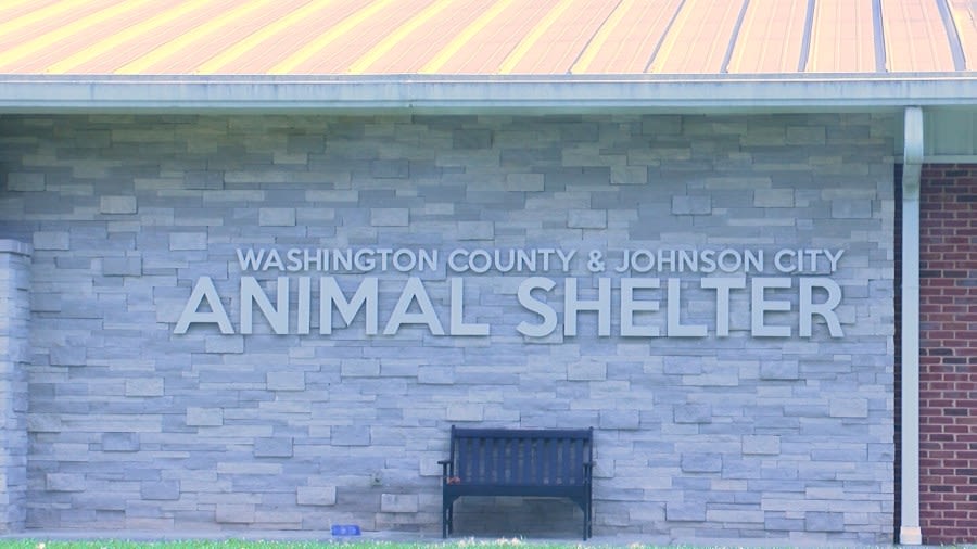 Washington County, Tenn. Animal Shelter pauses dog intake, adoptions amid “treatable” virus outbreak