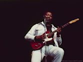 Muddy Waters