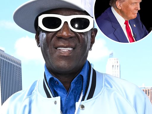 Flavor Flav Warns Snoop Dogg, Pitbull After Donald Trump's Pet Eating Claim - E! Online