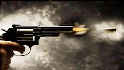 Man shot dead in north east Delhi, months after brother killed