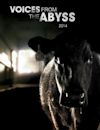 Voices from the Abyss | Documentary