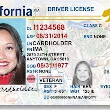 Driver's licenses in the United States