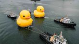 Hong Kong’s famous rubber duck returns — and now there are two