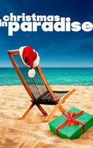 Christmas in Paradise