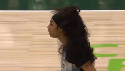 Angel Reese sets WNBA double-double record in Sky loss to Storm