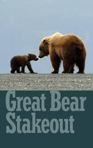 Great Bear Stakeout