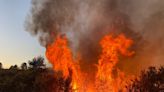 Wildfires increase by 500% in parts of UK as government urged to hold emergency meeting on water supply