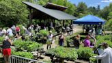 Chippewa Nature Center to host native plant sale