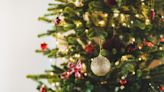 Real or artificial: Which Christmas tree is better?