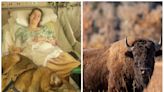 Dancer needs major surgery to walk again after she was gored by a bison in South Dakota