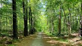 Celebrate National Trails Day on the best trails and greenways in North and South Carolina