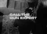 Call the Gun Expert