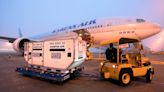 US, EU object to cargo concentration in Korean Air, Asiana merger
