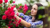 3 gardening jobs you must do this weekend