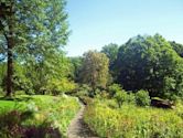 Reeves-Reed Arboretum