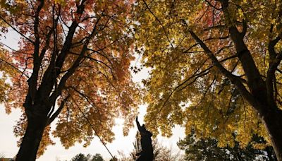 Mixed weather for Thanksgiving long weekend in Metro Vancouver