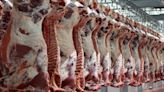 Volumes das exportações brasileiras de carnes voltaram a crescer em abril