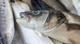 Salud: Pescados que puedes consumir 2 veces por semana